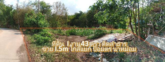 ที่ดิน ติดน้ํา ลําธาร คลอง นาหม่อม สงขลา 1
