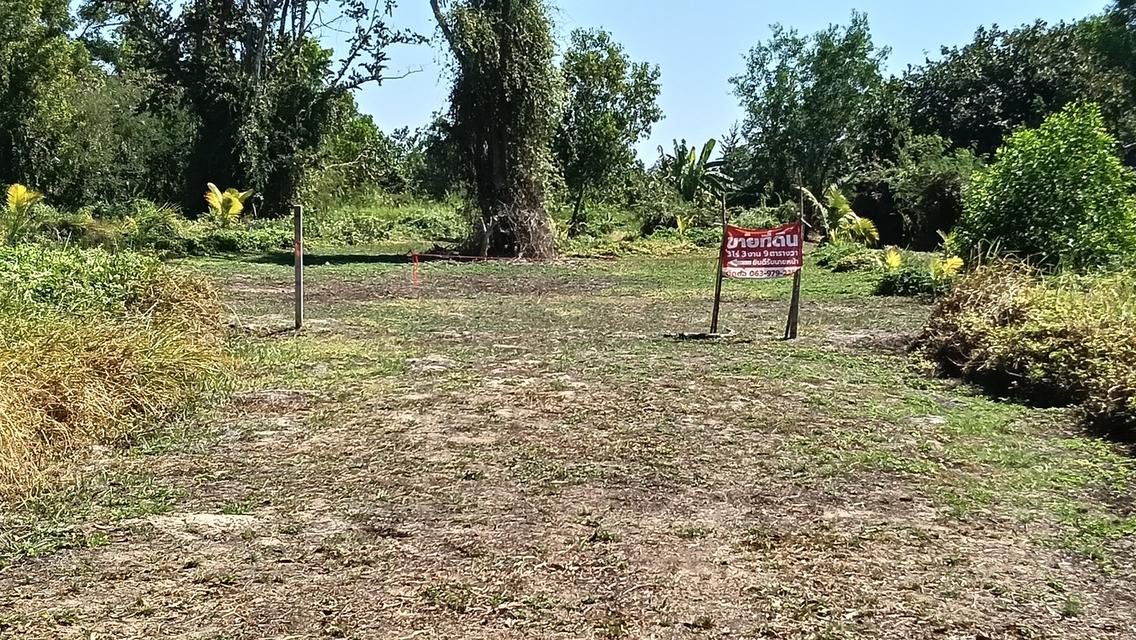 ที่ดิน อำเภอแกลง จังหวัดระยอง 3