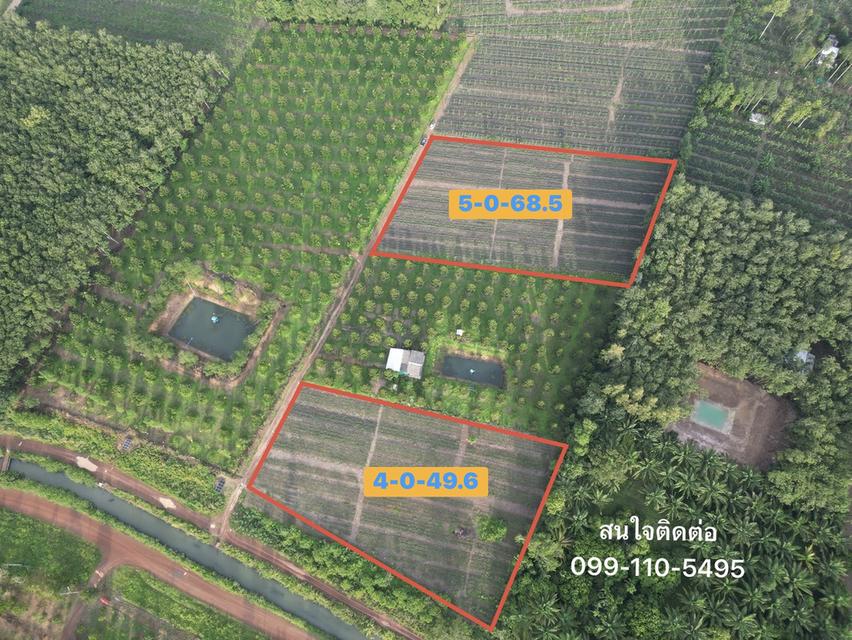 ที่ดินติดคลองส่งน้ำ ทำเลดี วิวสวย เหมาะสร้างบ้านสวน เนื้อที่ 4 ไร่ 49.6 ตรว. ต.บ้านนา อ.แกลง จ.ระยอง 1