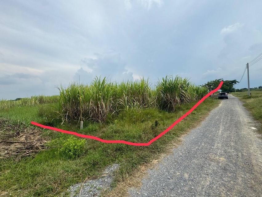 ที่ดิน ใกล้ ม.เกเกษตรกำแพงแสน 1