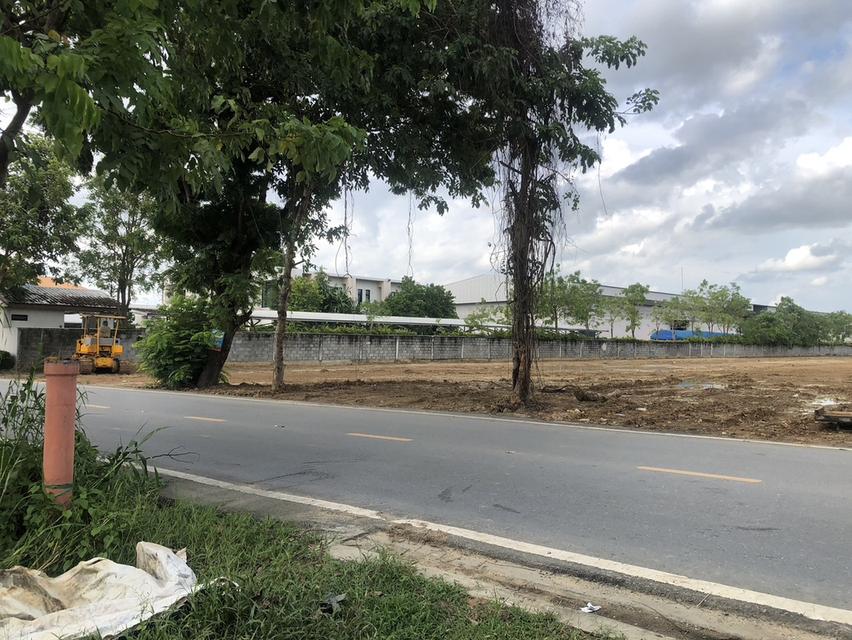 ขายที่ดินถมแล้ว 8-1-73 ไร่  5