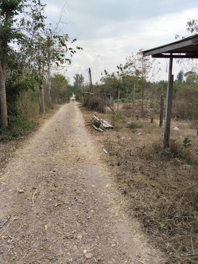 ขายที่ดินพร้อมบ้าน 3ไร่ หมู่บ้านหนองตาฉาว ตำบล เขากระปุก อำเภอท่ายาง เพชรบุรี ขายทั้งแปลง 2 ล้าน 4