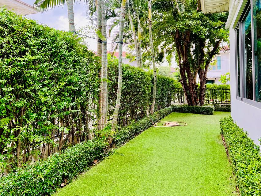 บ้านเดี่ยว 4-ห้องนอน 3-ห้องน้ำ แปลงมุม พร้อมเฟอร์นิเจอร์ Built-in สวยจบทั้งหลัง โครงการเพอร์เฟคเพลส สุขุมวิท77-สุวรรณภูมิ 6