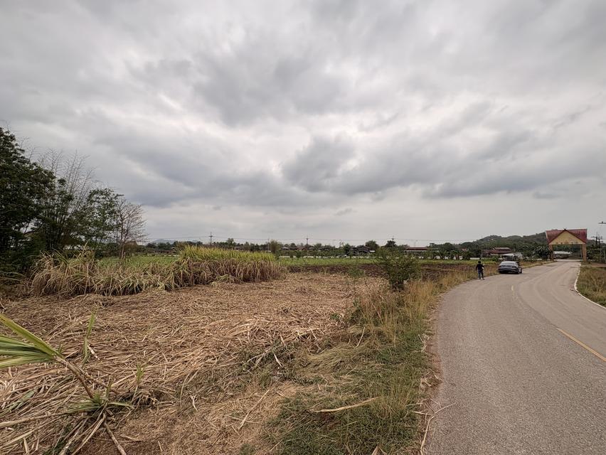ขายที่ดิน2ไร่ จังหวัดเลย วังสะพุง วัดป่าผาเจริญ 6