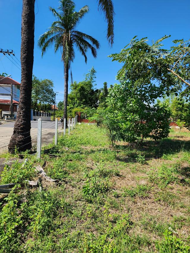 ที่ดิน เปล่าบนถนนพุทธมณทลสาย 1 5