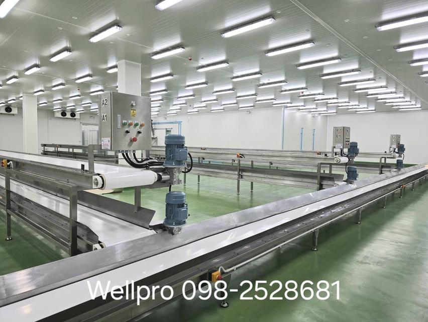 สายพานลำเลียง  Belt Conveyor  2