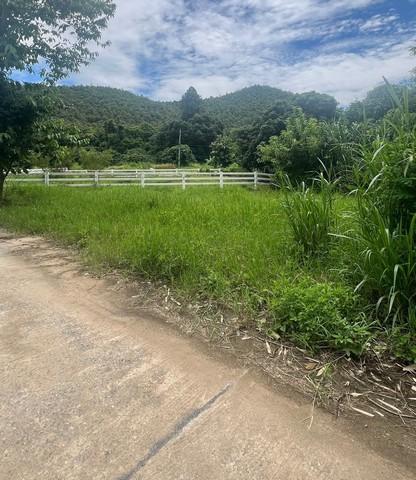 ขายที่ดิน 65ตรว. ลดเหลือ450,000บาท ฟรีโอน วิวเขา ถนนคอนกรีต น้ำประปา ไฟฟ้า ใกล้ถนนสันกำแพง-แม่ออน ต.ออนใต้ อ.สันกำแพง เช 2