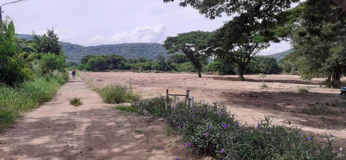 ขายที่ดินอำเภอหัวหิน 12 ไร่ 5