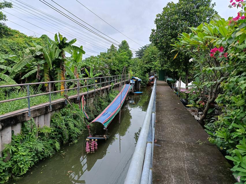 ขายที่สวน