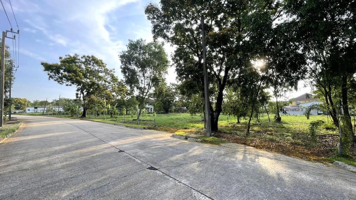 ขายที่ดินเปล่าเขตคลองสามวา โครงการ Forest Park 5