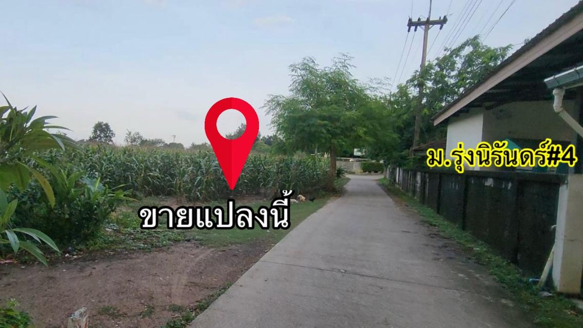 หลัง เจ้าสัวฯ (ศูนย์ของฝาก.) บ.ยางใหญ่  | ( ใกล้ :  เซฟวันฯ+ ตลาดเทิดไท + เซฟวัน) ต. สุรนารี อ. เมืองนครราชสีมา 2