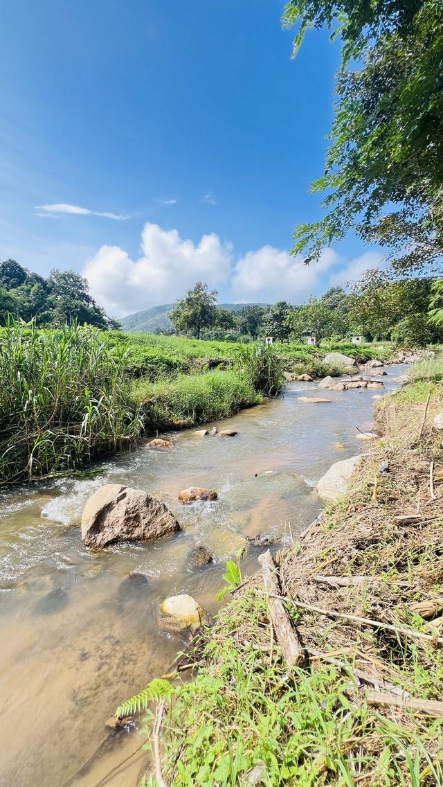 ที่ดิน 5ไร่ ติดลำธาร วิวภูเขา 4