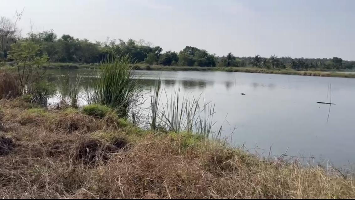 ขายที่ดิน วิหารแดง สระบุรี 6