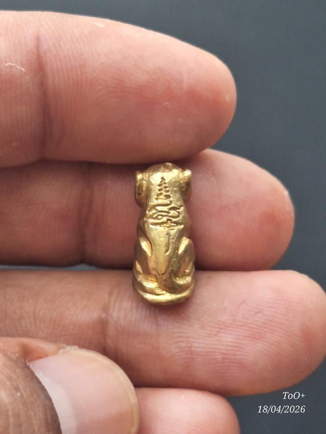 เสือ หลวงพ่อหวล วัดชาวเหนือ รูปที่ 4