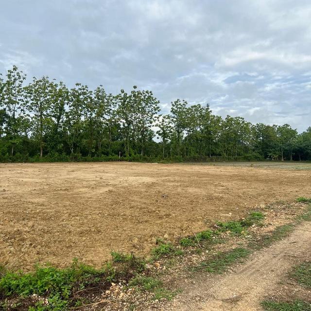 ขายที่ดิน เจ้าของขายเอง 400 ตารางวา ต.ชมภู อ.สารภี จ.เชียงใหม่ 5