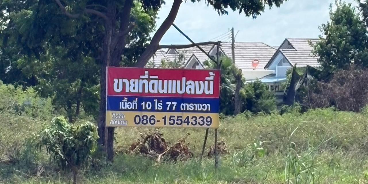 LAND FOR SALE | PHAN THONG, CHONBURI ที่ดินถมแล้วทั้งแปลง 10 ไร่ 77 ตร.ว. | เจ้าของขายเองโดยตรง 3