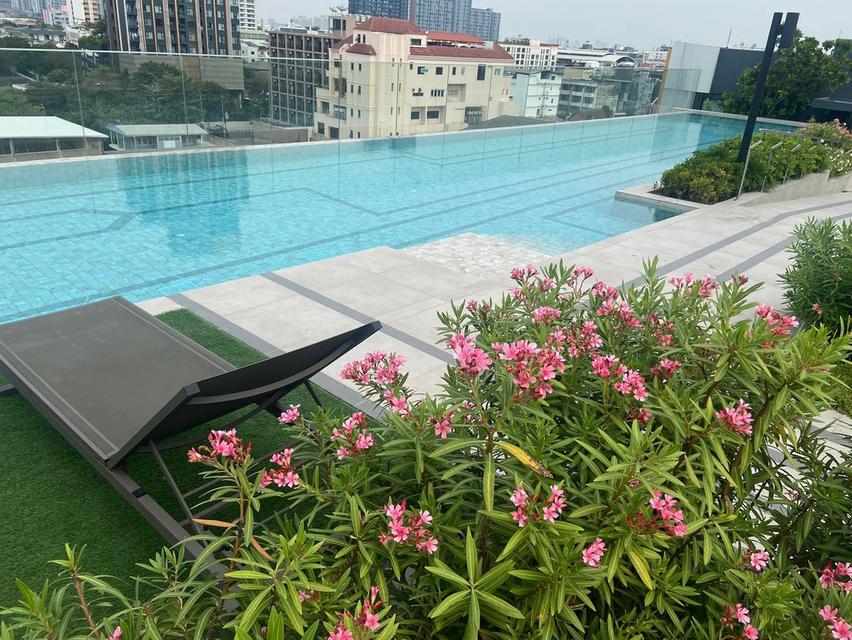 Plum Condo ย่านสุขุมวิท ใกล้ BTS บางจาก 17