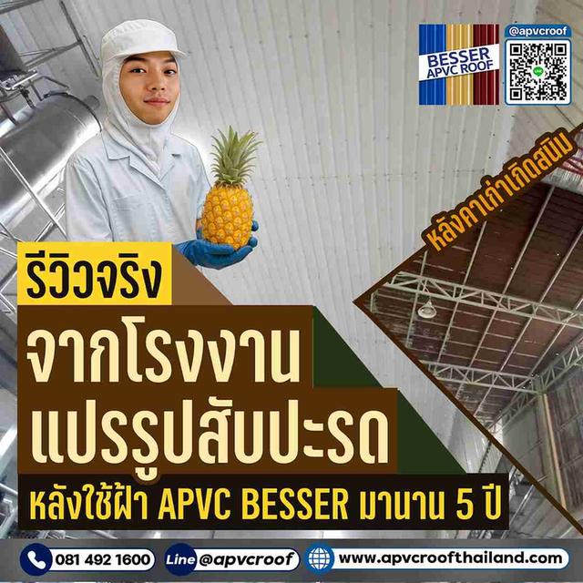 5 ปีพิสูจน์แล้ว! ทำไมโรงงานแปรรูปสับปะรดระดับโลก ถึงมั่นใจเลือกใช้หลังคา APVC BESSER?