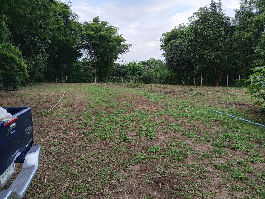 ที่ว่างเปล่า 2