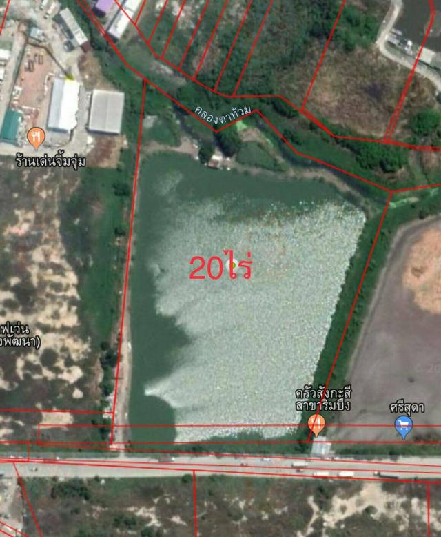 ขายที่ดิน 15 ไร่ขายไร่ละ 7 ล้าน อยู่บางเพรียง สมุทรปราการ มีทั้งหมด 20 ไร่ข่ายไปแล้ว 5 ไร่ 6