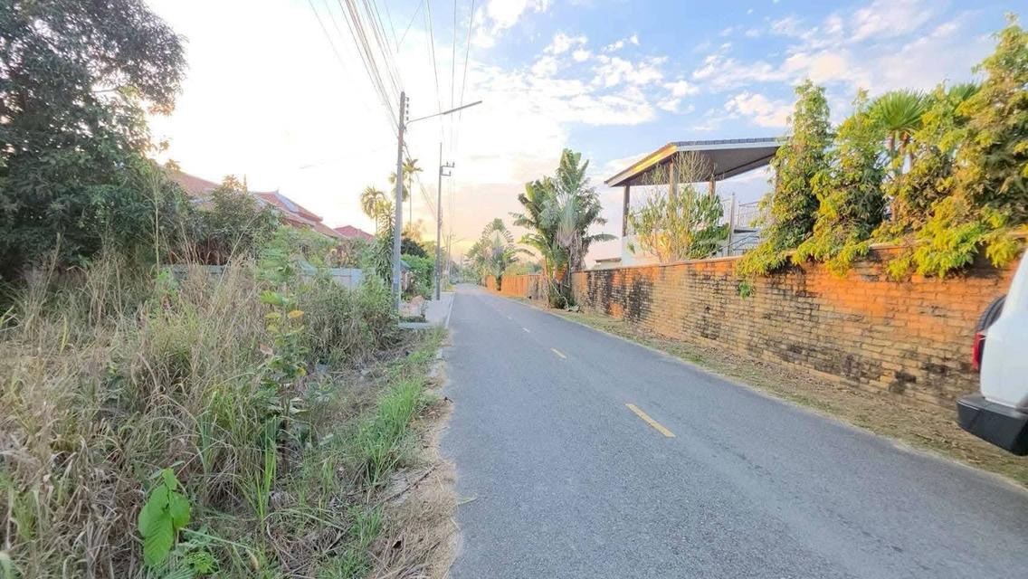 ขายที่ดินเปล่า แปลงสวยติดถนนสองด้าน บางเสร่ ชลบุรี 3