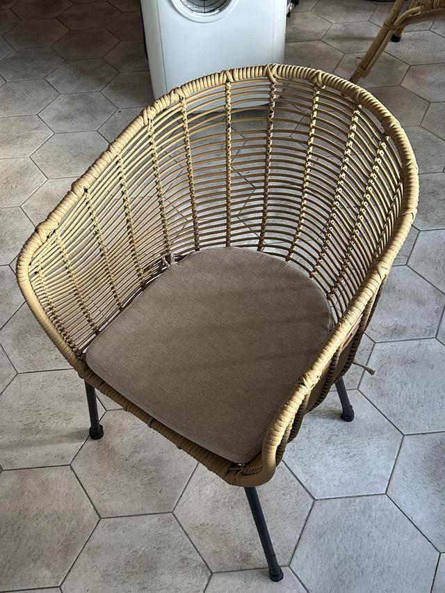 DINING CHAIR # 1 - ROTTEN CHAIR เก้าอี้หวาย