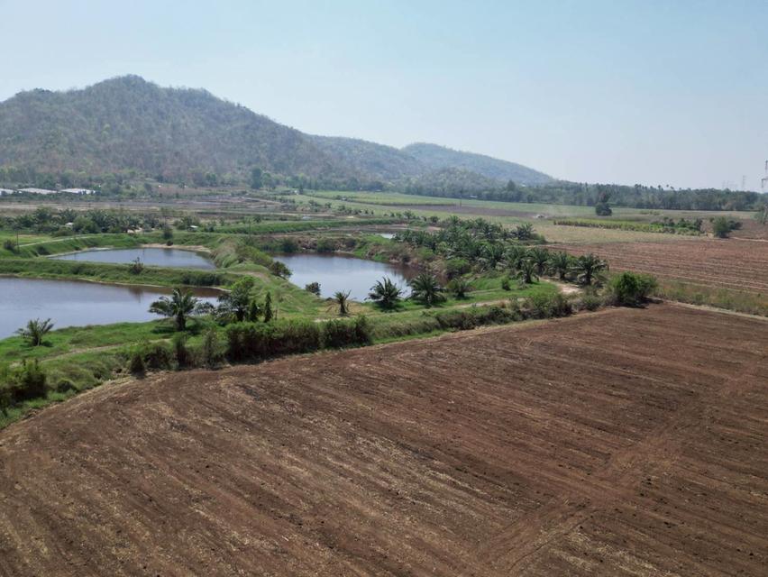 ที่ดิน ต.เขาสามสิบหาบ 4