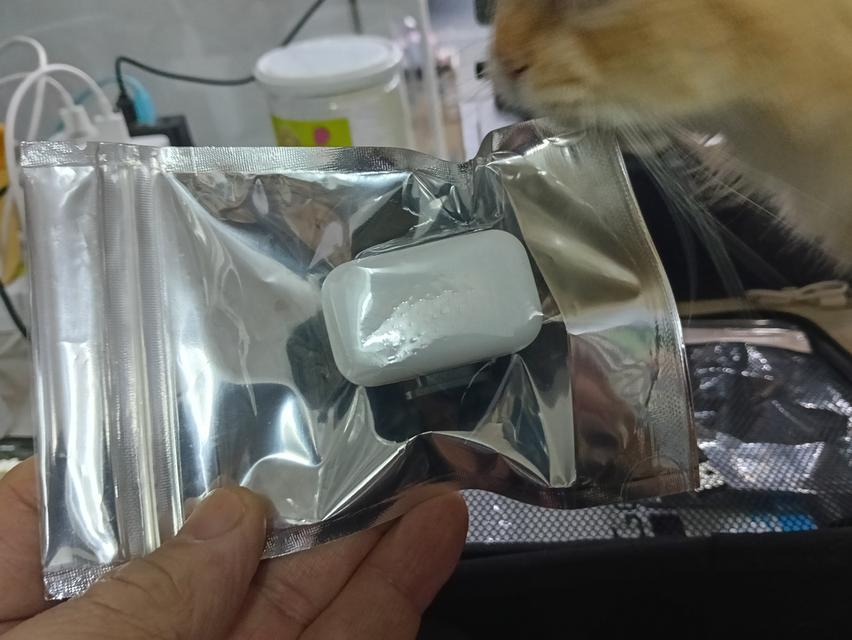 ขายกล้องแอคชั่น โกโป เซตคอมโบ รูปที่ 5