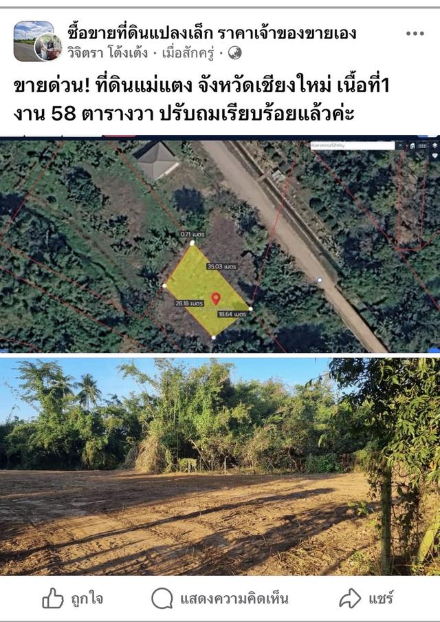 ขายที่ดินติดลำห้วยจังหวัดเชียงใหม่ อำเภอแม่แตง 1