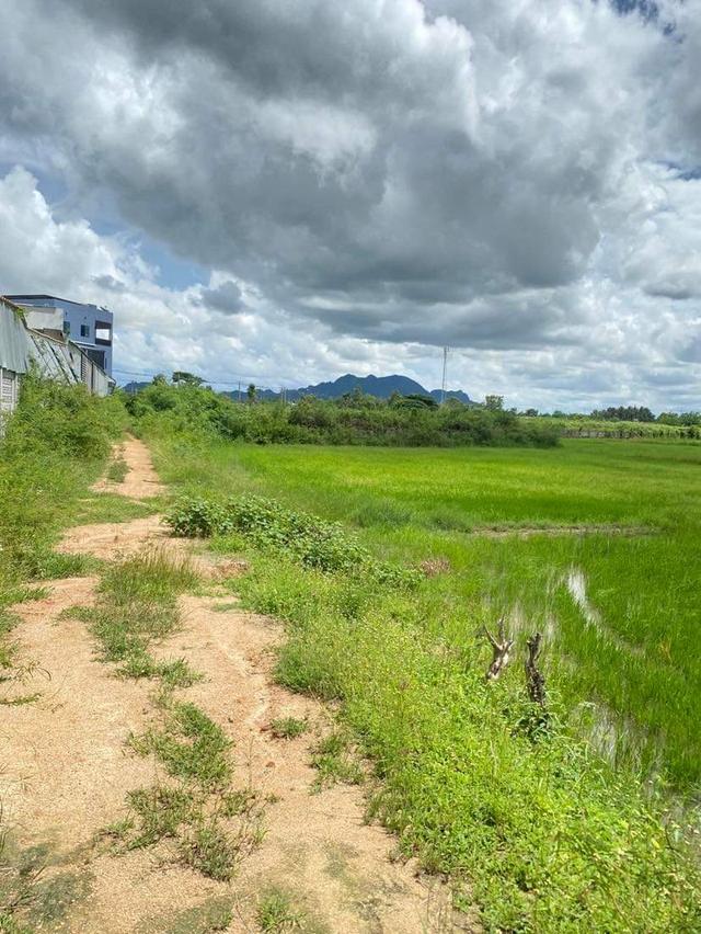 ขายที่ดินชะอำ 4 ไร่ ราคาไร่ละ 2,000,000 ล้านบาท ใกล้ถนนเพชรเกษม 100ม. ห่างจากทะเลชะอำ 10 กม 7