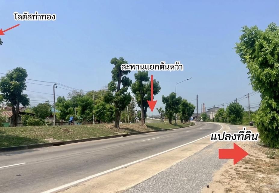 ที่ดินในจังหวัดพิษณุโลก 3