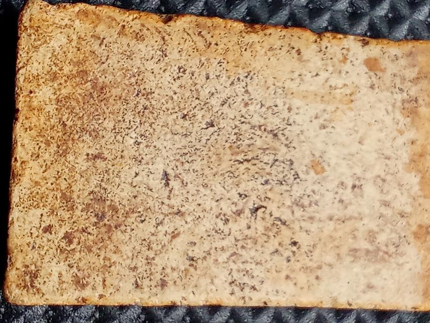 พระพิมพ์สมเด็จวัดระฆัง รูปที่ 12