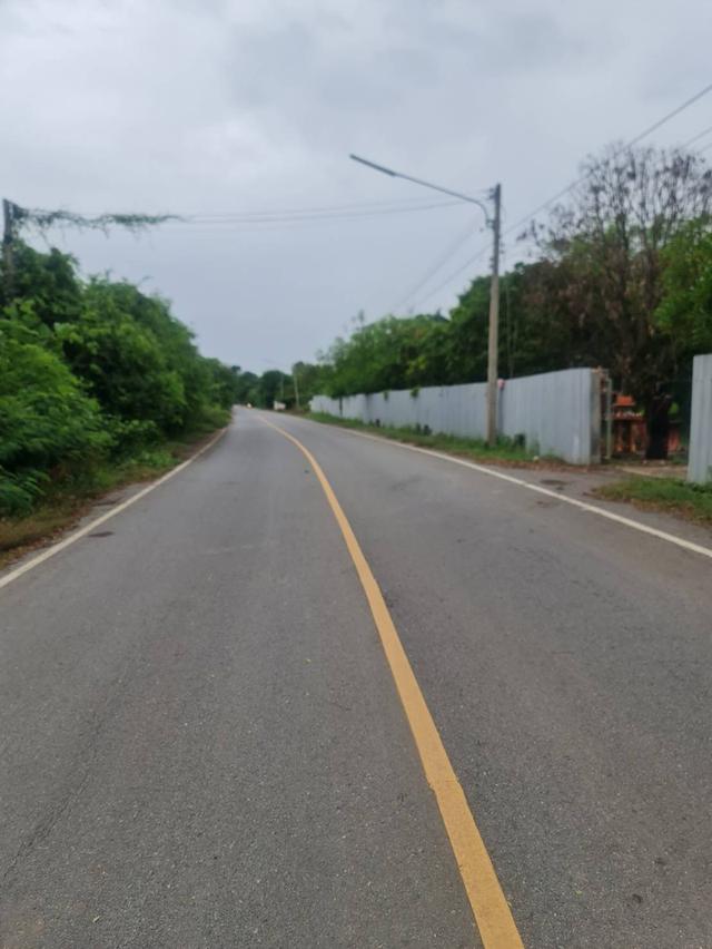 ขายที่ดิน 9 ไร่ ที่ถมแล้ว ต. ท่าวุ้ง จ. ลพบุรี 4