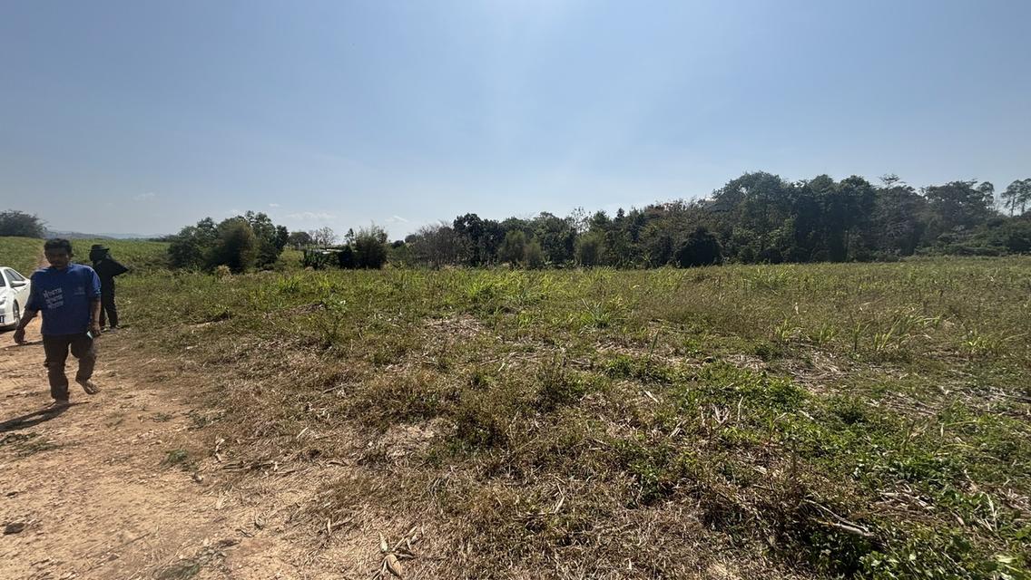 ที่ดิน เปล่า อยู่ติดถนน 304 เพียง 5 นาที วิวสวย บนภูเขา วังน้ำเขียว 9