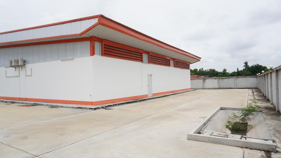 ขาย/เช่าโรงงานพร้อมบ้าน จ.เพชรบูรณ์ (ยินดีรับนายหน้า) 4
