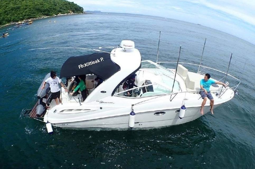 ขายเรือยอร์ช Searay 290