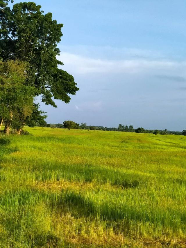 ที่สวย ๆ ไว้ เก็งกำไร ทำรีสอร์ท  เศรษฐกิจพอเพียง  หรือ แหล่งท่องเที่ยว 1