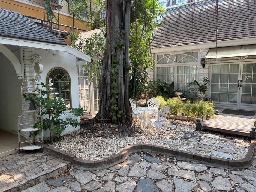 U1477 ให้เช่าบ้านสวน ใจกลางสุขุมวิท 101 FOR RENT RARE GARDEN SPACE IN SUKHUMVIT An Extraordinary Glasshouse Garden Space in Sukhumvit 101 15