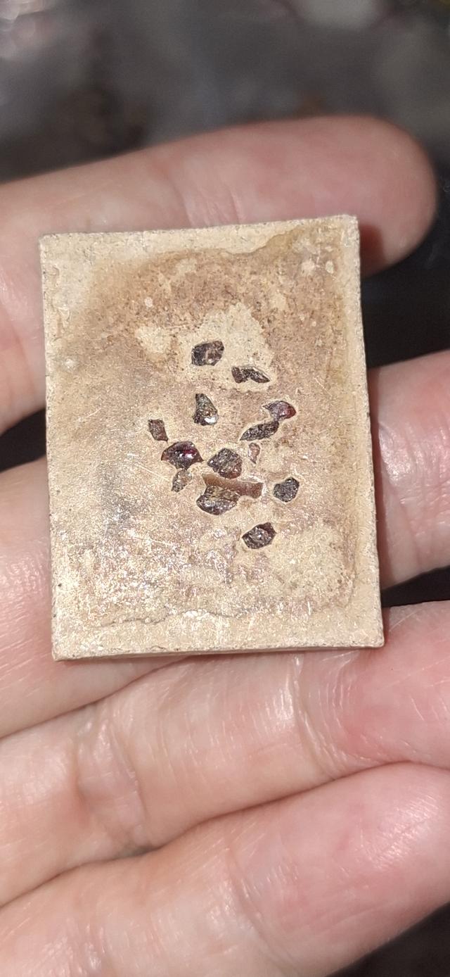 เทพภมรจำแลง ครูบากฤษณะ วัดป่ามหาวัน