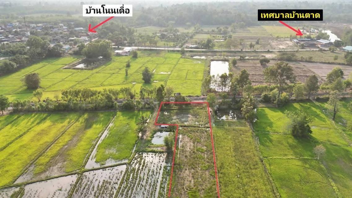 🔥🔥🔥 ด่วนที่สุด! ราคานี้มีแปลงเดียว 🔥🔥🔥 🌾 ขายที่นา-ที่สวน ทำเลดี ใกล้เทศบาลบ้านตาด 📍 ต.บ้านตาด อ.เมือง จ.อุดรธานี 📐 เนื้อที่ 3 ไร่ 2 งาน 77 ตร 4