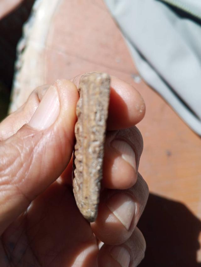 พระสมเด็จวัดระฆังพิมพ์ใหญ่ 4