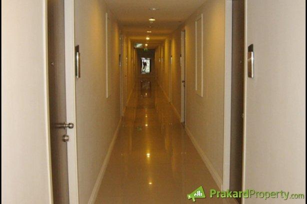 ขายห้องชุดไอวี่ ริเวอร์ ราษฏร์บูรณะ (Ivy River Rat Burana) 8