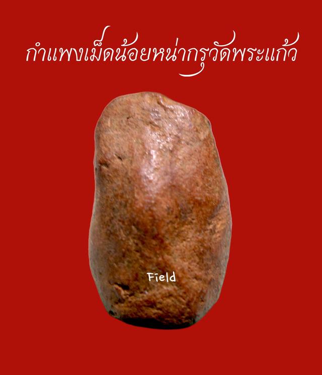 เม็ดน้อยหน่ากรุวัดพระแก้วกำแพงเพชร รูปย่อยที่ 2