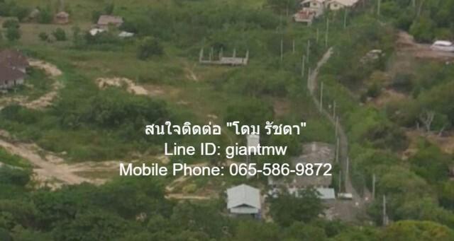 DSL-340 Sale พื้นที่ดิน ที่ดินเกาะพีพี จ.กระบี่ 4000000 BAHT ดีงาม 4