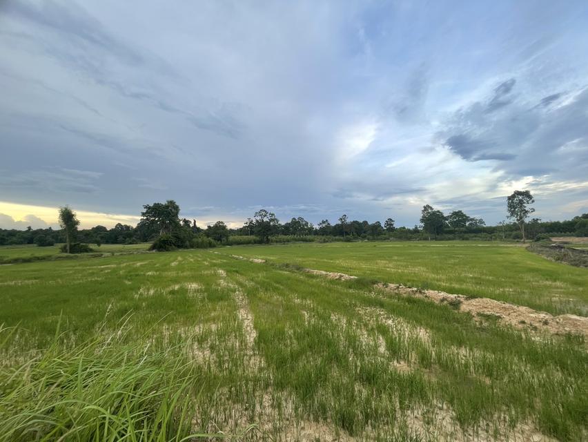 ที่ดิน จ.ปราจีนบุรี อ.กบินทร์บุรี ต.นาเเขม (บ้านท่าอุดม) 3