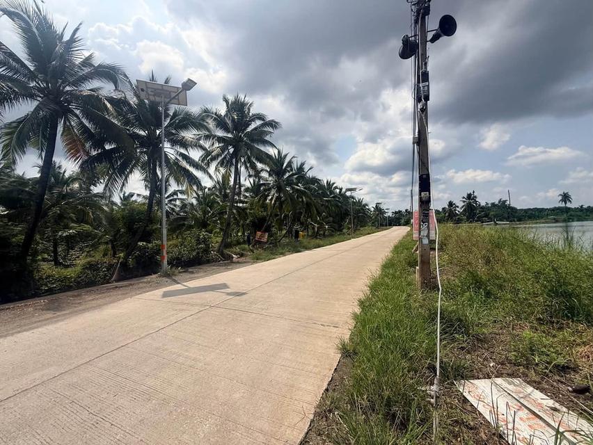 ขายที่ดินนครชัยศรี 641 ตรว ติดถนนสาธารณะ ต.ขุนแก้ว อ.นครชัยศรี จ.นครปฐม 3