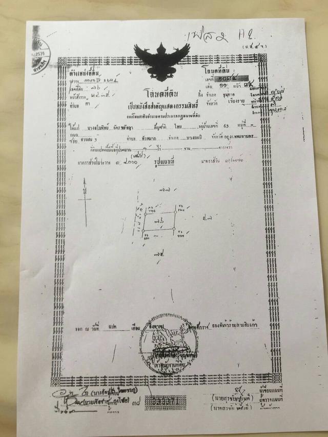 จ.เชียงราย ขายที่ดิน383ไร่พร้อมโครงการ 12
