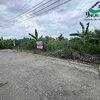 ขายที่ดินเปล่าถมแล้ว ถนนรังสิต-นครนายก33 คลอง2 ธัญบุรี (N1324) 3