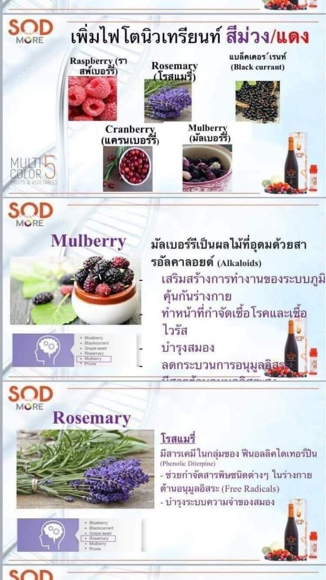 ขายเครื่องดื่มเพื่อสุขภาพ sod น้ำผักผลไม้ 125 ชนิดสารต้านอนุมูลอิสระ ช่วยเสริมสร้างระบบภูมิคุ้มกันให้แข็งแรง 1 กล่องมี 15 ซอง 6