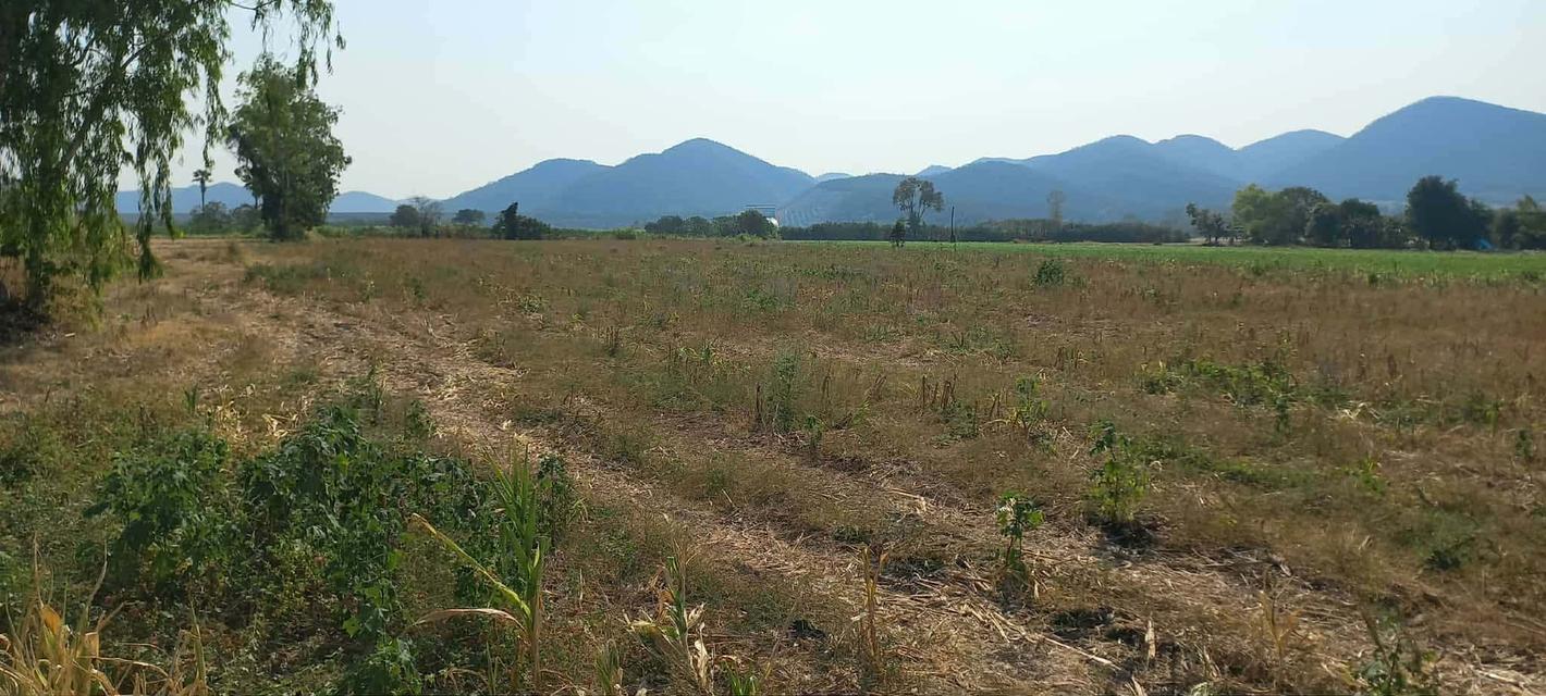 ขายที่ดินโฉนด 7 ไร่ 3.5 ล้าน ใกล้อ่างเก็บน้ำมวกเหล็ก 6